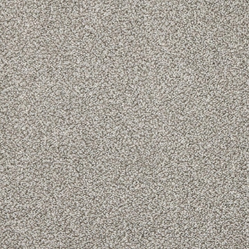 Phoenix Collection 502 carpet