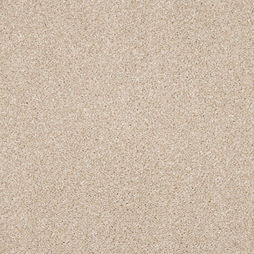 Phoenix Collection 503 carpet