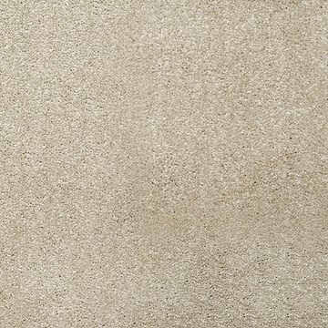 Phoenix Collection 504 carpet