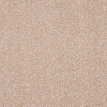 Phoenix Collection 506 carpet