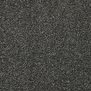 Phoenix Collection 507 carpet