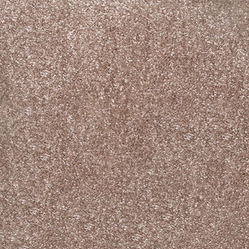 Phoenix Collection 509 carpet