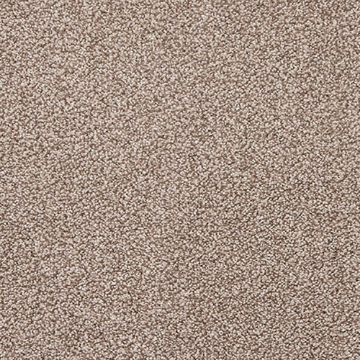 Phoenix Collection 511 carpet