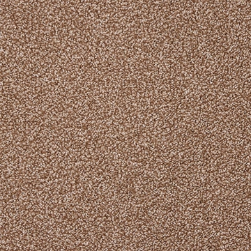Phoenix Collection 513 carpet