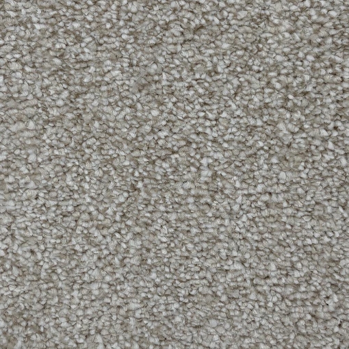 Royal Collection 69 carpet