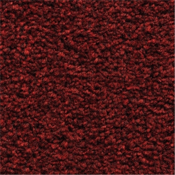 Rustic Comforts 220 carpet