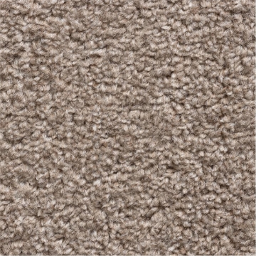 Rustic Comforts 269 carpet