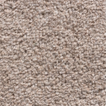 Rustic Comforts 271 carpet