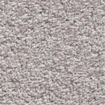 Rustic Comforts 273 carpet