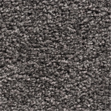 Rustic Comforts 279 carpet