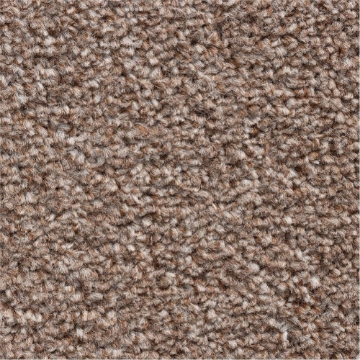 Rustic Comforts 290 carpet