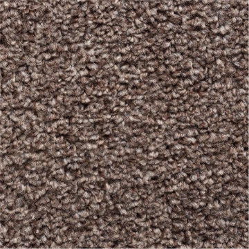 Rustic Comforts 297 carpet