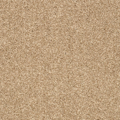 Willow Collection 76 carpet
