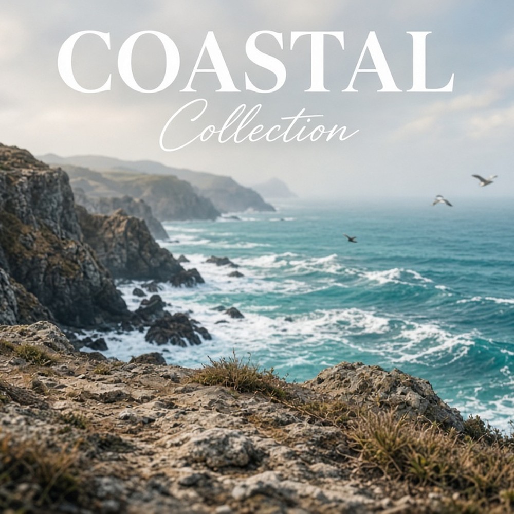 Coastal Collection carpet