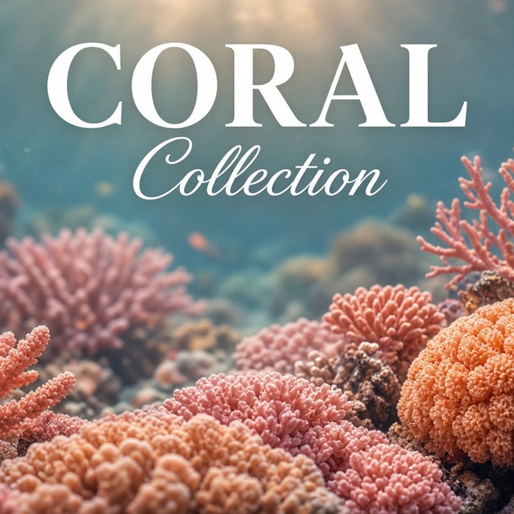 Coral Collection carpet