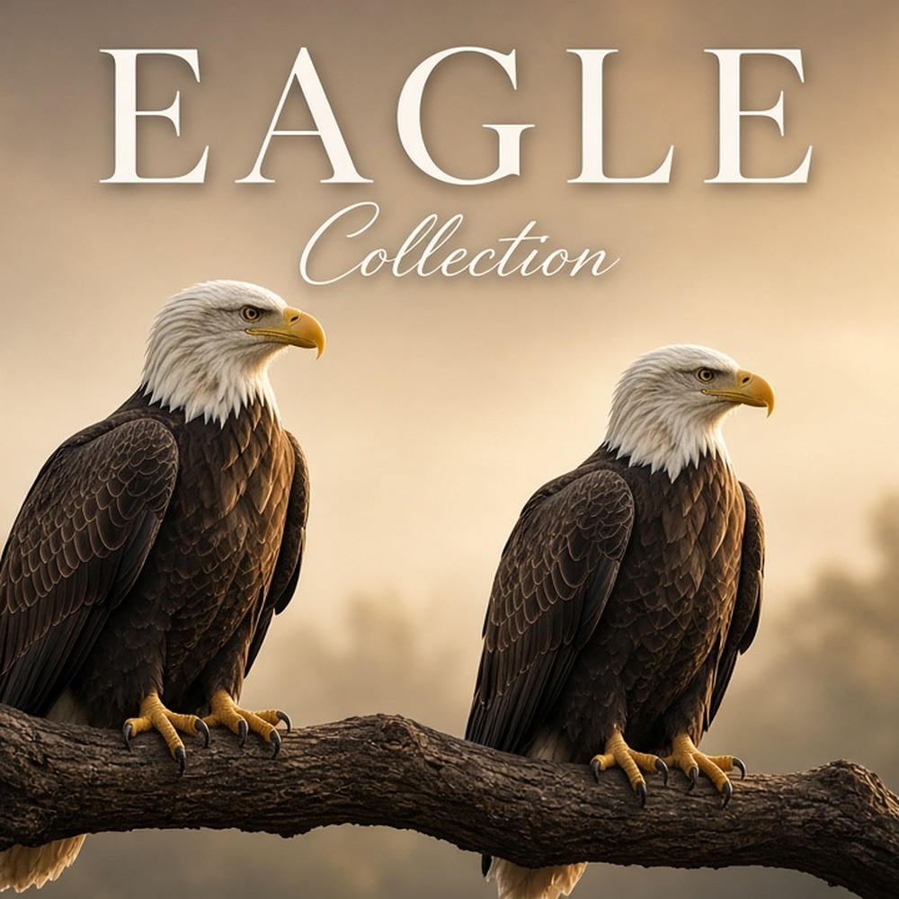 Eagle Collection carpet