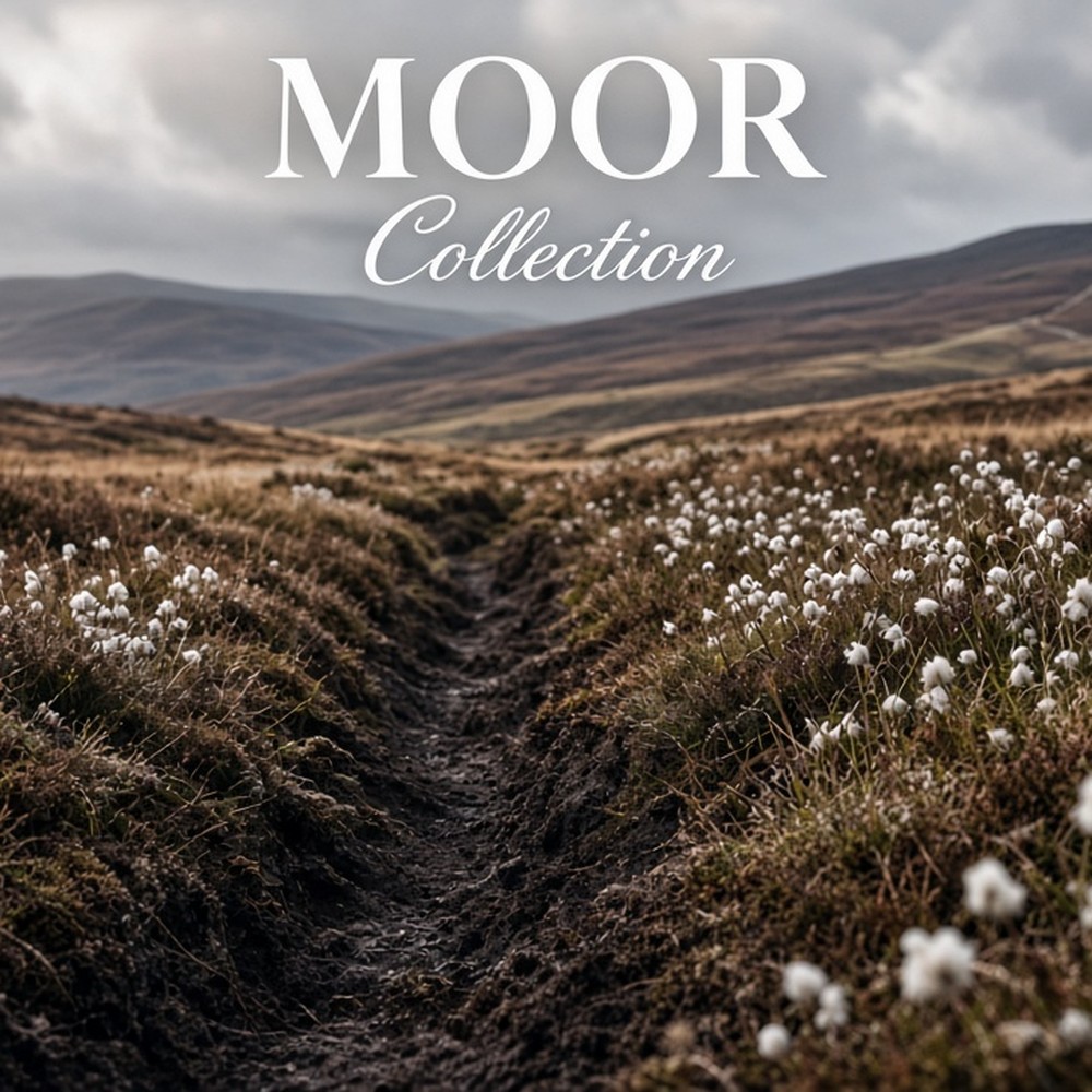 Moor Collection carpet