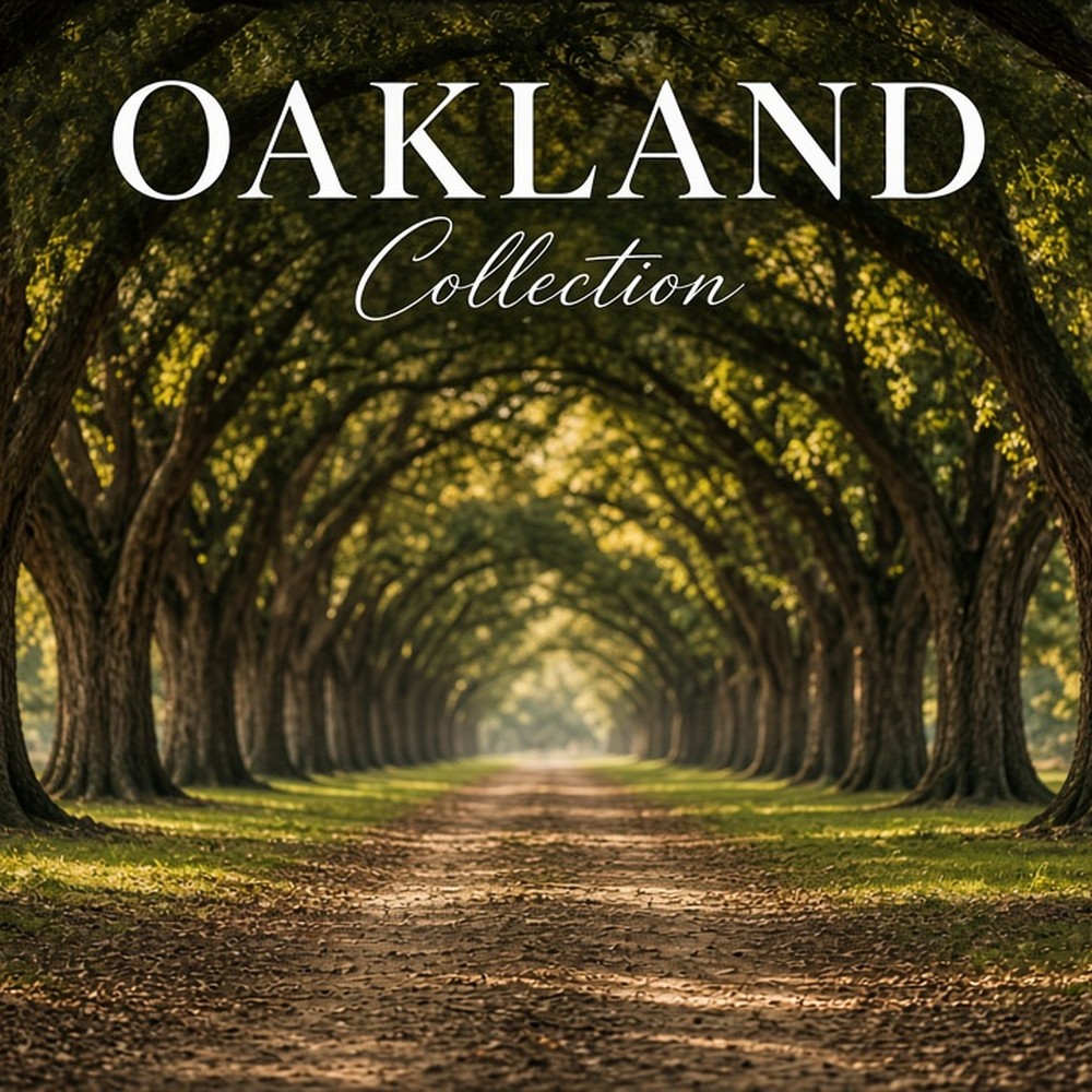 Oakland Collection carpet