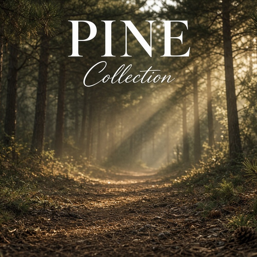 Pine Collection carpet