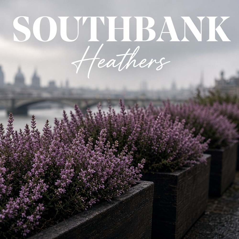 Southbank Heathers carpet