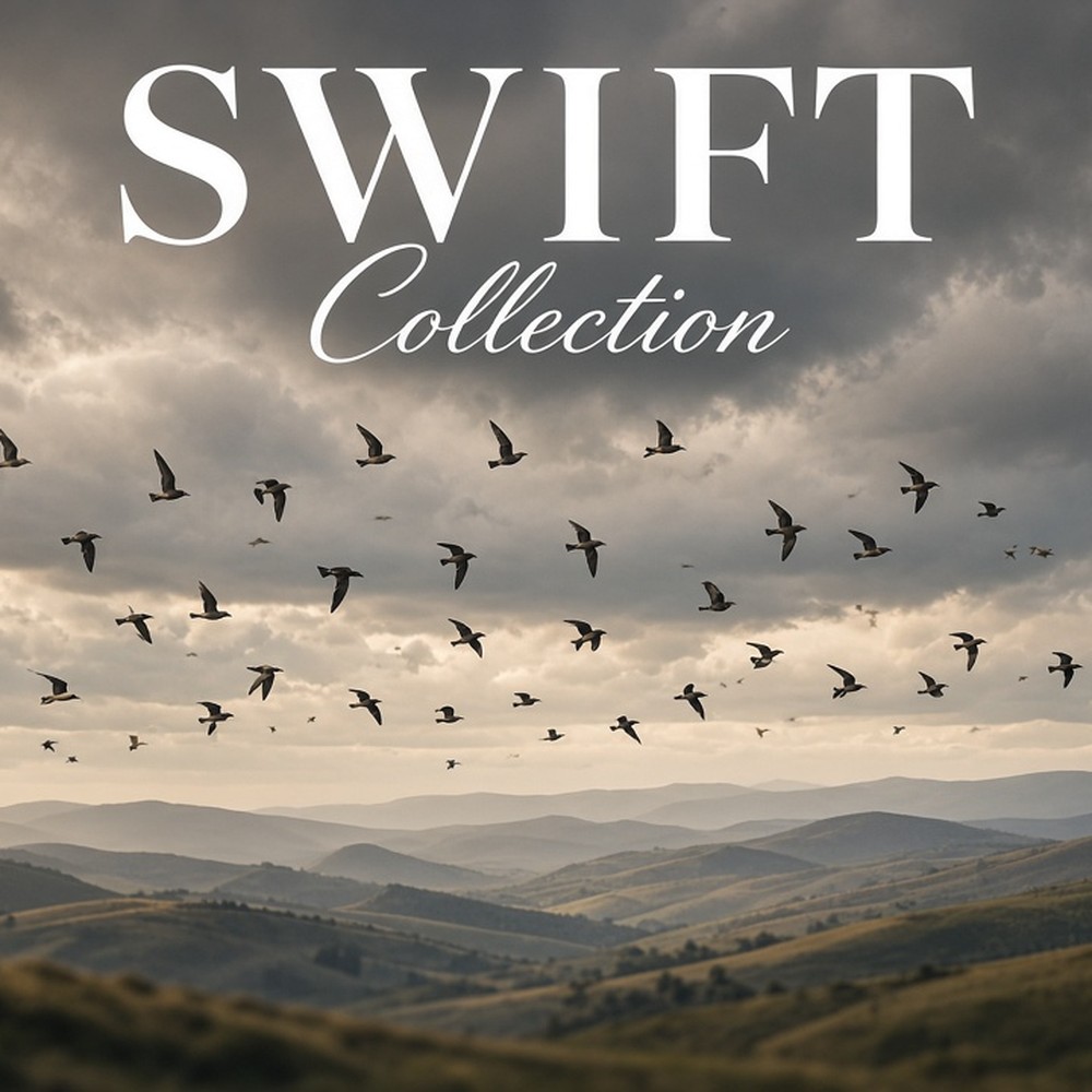 Swift Collection carpet