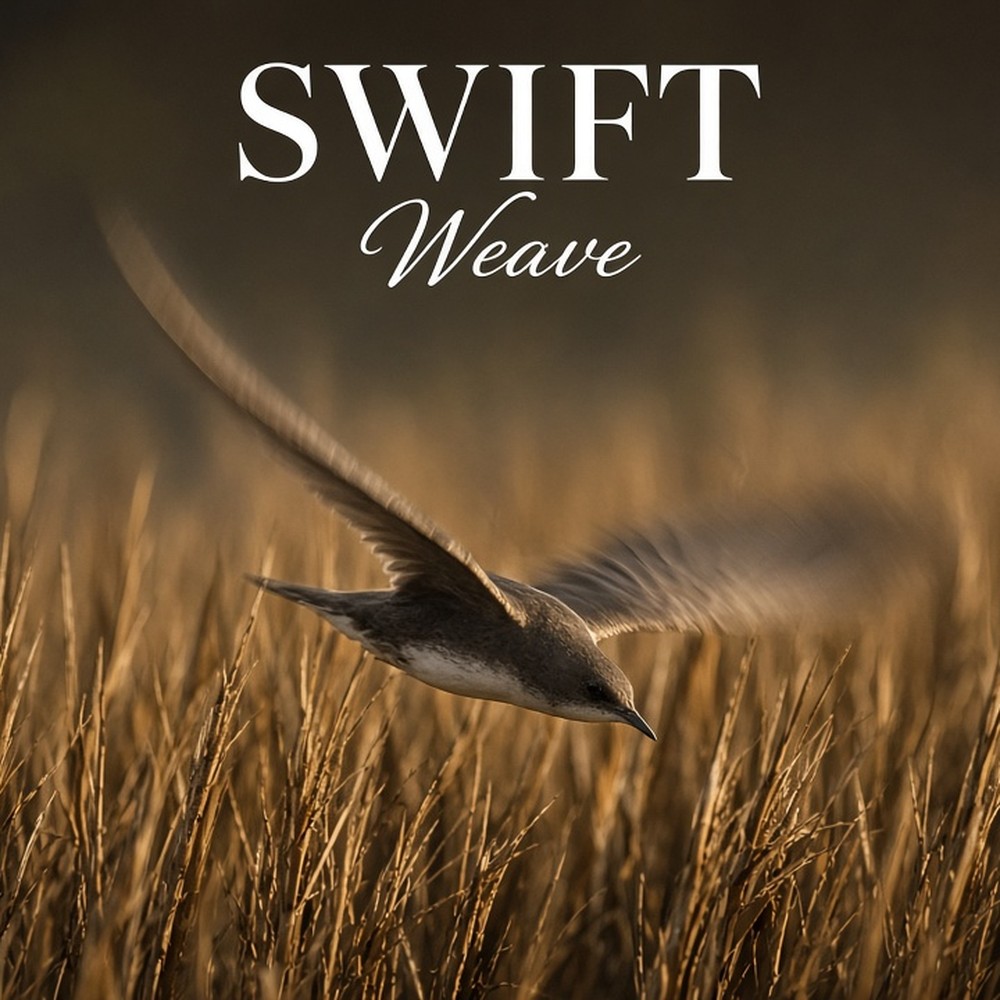 Swift Weave carpet
